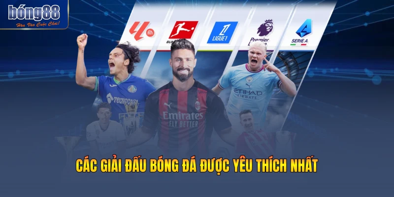 Các giải đấu bóng đá được yêu thích nhất