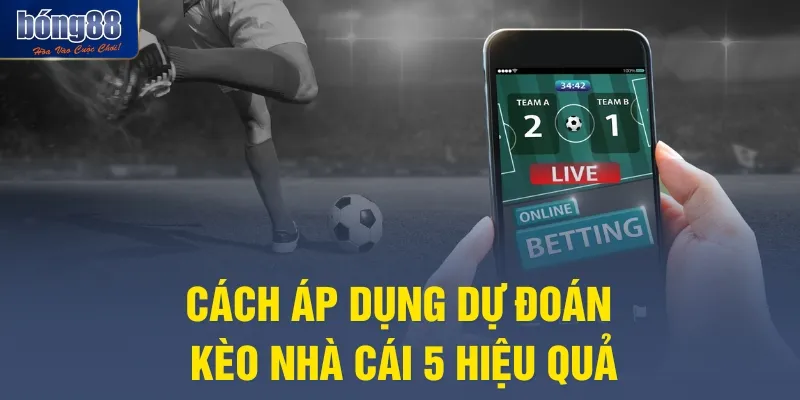 Cách áp dụng dự đoán kèo nhà cái 5 hiệu quả