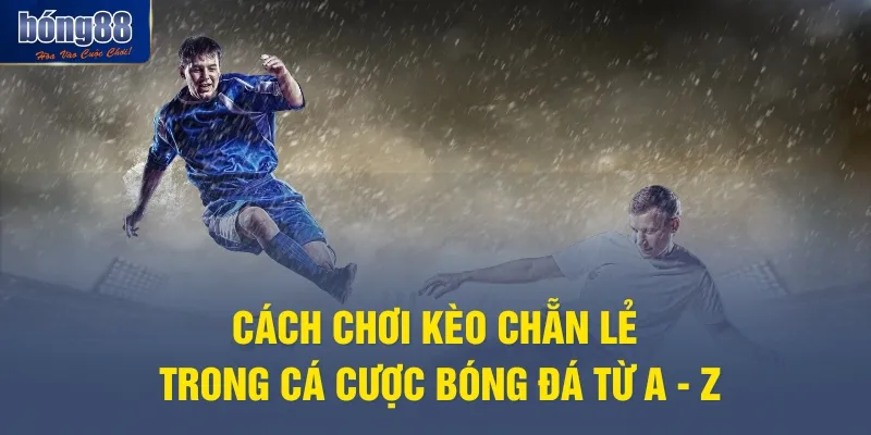 Cách chơi kèo chẵn lẻ trong cá cược bóng đá từ A - Z