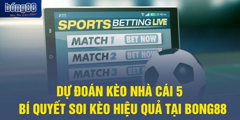 Dự Đoán Kèo Nhà Cái 5 – Bí Quyết Soi Kèo Hiệu Quả Tại Bong88