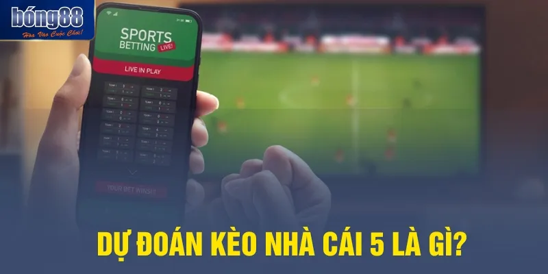 Dự đoán kèo nhà cái 5 là gì?