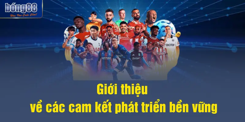 Giới thiệu về các cam kết phát triển bền vững