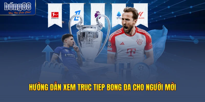 Hướng dẫn xem truc tiep bong da cho người mới