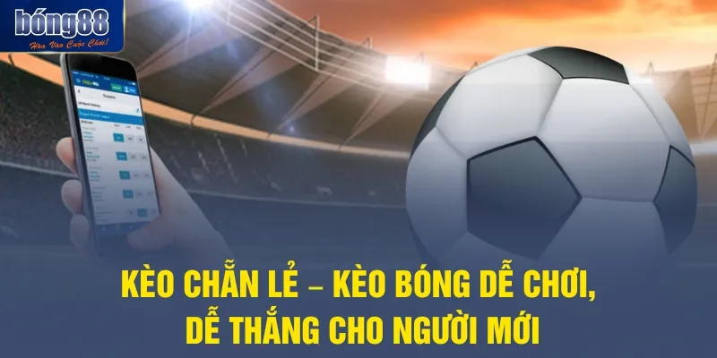Kèo Chẵn Lẻ – Kèo Bóng Dễ Chơi, Dễ Thắng Cho Người Mới