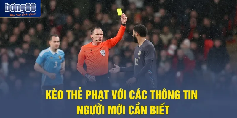 Kèo thẻ phạt với các thông tin người mới cần biết