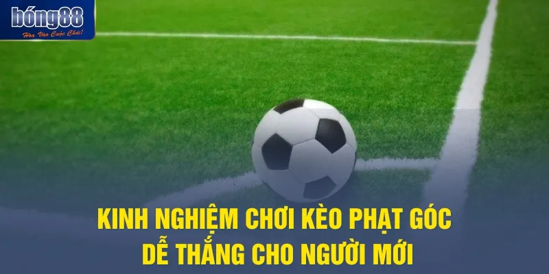 Kinh nghiệm chơi kèo phạt góc dễ thắng cho người mới