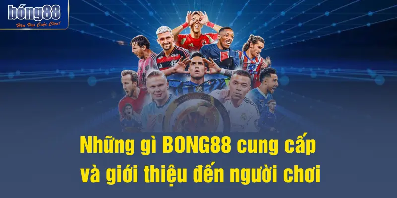 Những gì BONG88 cung cấp và giới thiệu đến người chơi