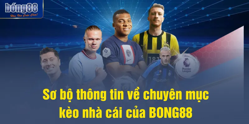 Sơ bộ thông tin về chuyên mục kèo nhà cái của BONG88