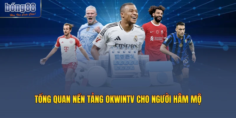 Tổng quan nền tảng OKWINTV cho người hâm mộ