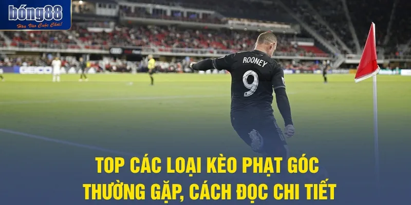 Top các loại kèo phạt góc thường gặp, cách đọc chi tiết